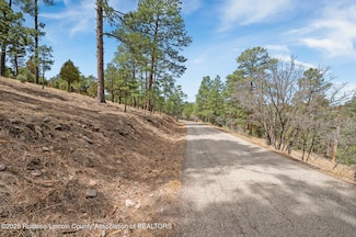 Lot 19 Twin Tree Loop, Alto, NM 88312