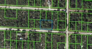 3443 Ostrich St, Lake Placid, FL 33852