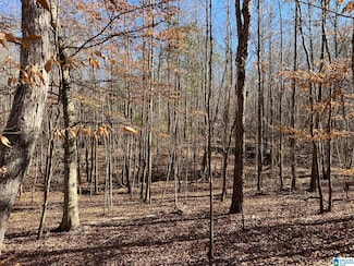 12 Acres County Road 487 Unit 12 Acres +/-, Verbena, AL 36091