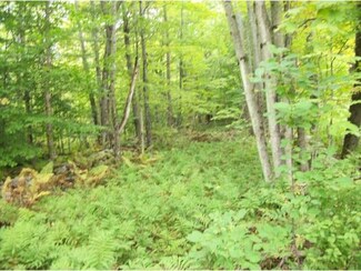 00 Heald Rd, Cavendish, VT 05142