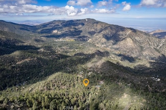 15028 Chestnut Dr, Pine Mountain Club, CA 93222