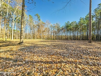 309 See View Ln, Hertford, NC 27944