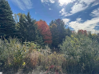 1.6 Acres January Dr, Traverse City, MI 49684