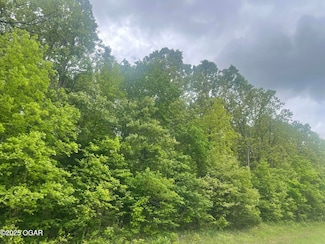 TBD 18.24 Acres K Hwy, Seneca, MO 64865