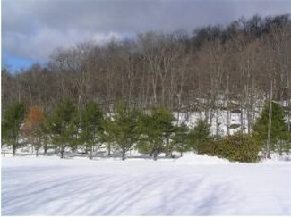 1278 Old County Rd, Cavendish, VT 05142