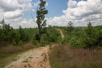 0 Low Gap Rd, Sugar Tree, TN 38380