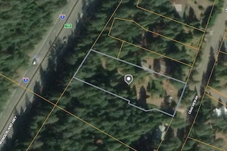30660 Crag View Dr, Dunsmuir, CA 96025