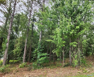 1 Acre Keel Mountain Rd, Gurley, AL 35748