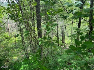 Lot 18 Turkey Creek Way, Sevierville, TN 37862