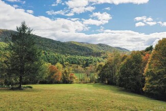 0 Alto Rd Unit 355271, Vesuvius, VA 24483