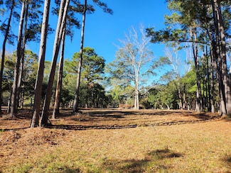 7997 Doar Rd Unit C-1, Awendaw, SC 29429