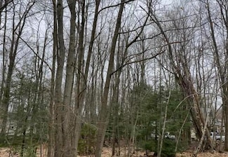 0 Alter Ave 2425 Ave, Pocono Summit, PA 18346