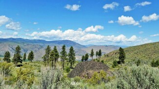 0 Bigelow Springs Rd Unit 790359, Orondo, WA 98843
