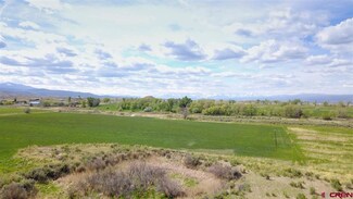 TBD U S 50, Montrose, CO 81401