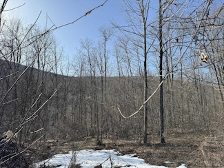 0 Erika Dr Unit 20244745, Shandaken, NY 12480