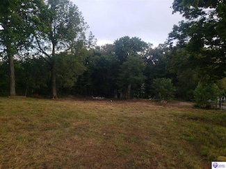 7495 Hardinsburg Rd, Cecilia, KY 42724