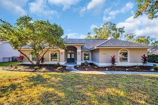 1437 Hounds Hollow Ct, Lutz, FL 33549