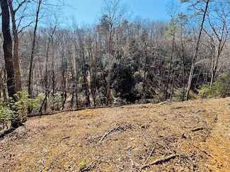 2.49 Ac Mountain Tops Cir, Blue Ridge, GA 30513
