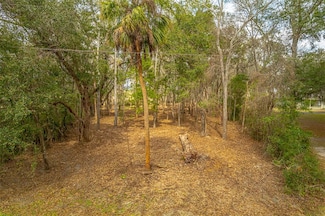 101 Marsh Trace, Brunswick, GA 31525