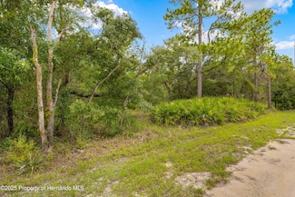 0000 Marsh Owl Ave, Weeki Wachee, FL 34614