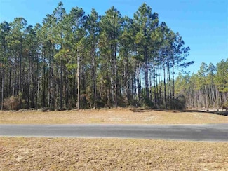 6991 Ranch Club Rd, Tallahassee, FL 32305