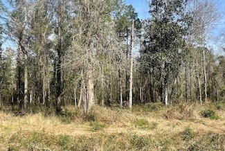 Lot 306 D Highway 190, Lacombe, LA 70445