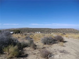 0 Largo Vista Rd + Turkey Ranch Rd Unit PW23182999, Llano, CA 93544