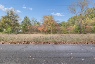 VL Washington St, Milton Township, MI 49120