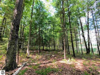 864 SE Blue Heron Dr, Kalkaska, MI 49646