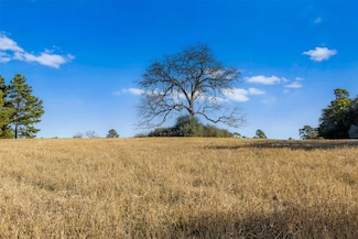 TBD Private Road 1315, Centerville, TX 75833