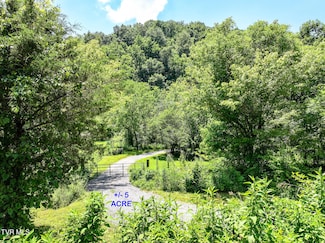 2646 Maples Branch Rd, Sevierville, TN 37876
