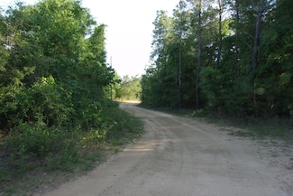 XX Grebe Way, Crestview, FL 32539