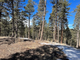 7871 Gold Rush Place, Homestead, CO 80465