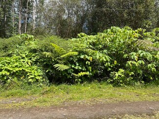 0 Road 1 Unit 720345, Volcano, HI 96785