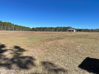 22230 S Carl Brown Rd, Sanderson, FL 32087