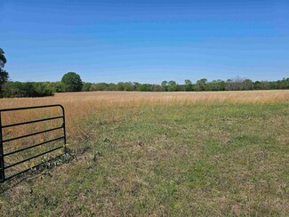 11.59 Acres Frances St, Oppelo, AR 72110