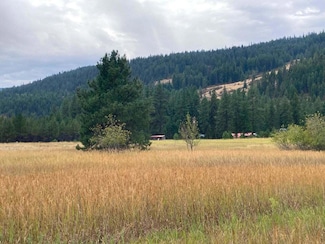 3349 Rockcut Rd, Kettle Falls, WA 99141