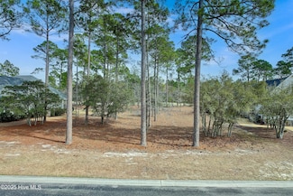 1512 Hidden Oaks Ln SE, Lockwoods Folly, NC 28422