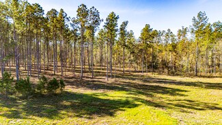 00141516 Big Buck Dr, Moscow, TX 75960