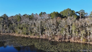 605 Lessie Culpepper Rd, Coffee Springs, AL 36318