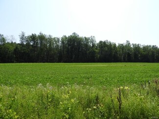 00 Shepherd Rd, Weedsport, NY 13166