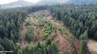 NKA Trinity Ln, St. Maries, ID 83861