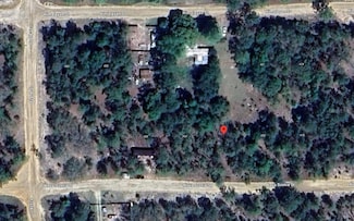 422 Nova Scotia St, Interlachen, FL 32148