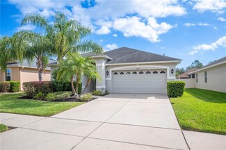 3144 Granite Ridge Loop, Land O Lakes, FL 34638