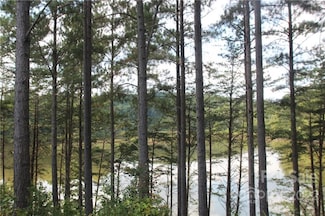 2038 Inlet Shore Rd NE Unit 24, Connelly Springs, NC 28612