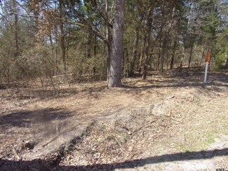 tbd Whipporwill Dr, Murchison, TX 75778