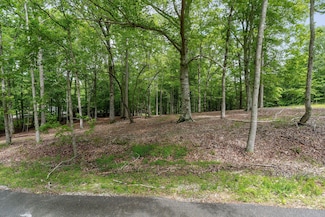 0 Four Seasons Dr Unit RTC2887743, Smithville, TN 37166