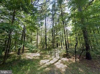 00 Scoonover Rd, Craigsville, VA 24430