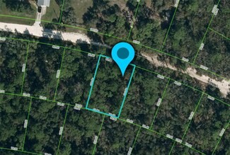1115 Quincula Terrace, Sebring, FL 33875