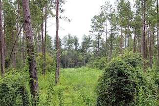 0 Ben Dunn Rd, Hudson, TX 75904